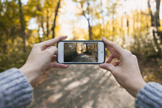 Autumn: Woman Holds Phone Out To Take Photo