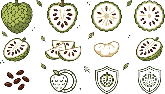 Tropical Custard Apple and Sugar Fruit Vector Icon Set with Slices Halves Inside Pulp Seeds and Organic Health Care Shield Logo Branding Graphics