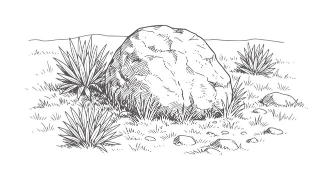 Of large boulder surrounded by desert plants and grass rock