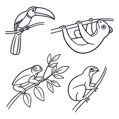 Obraz premium Black and white line art set of rainforest animals including toucan sloth iguana monkey on branches with rainforest, wildlife