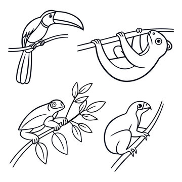 Black and white line art set of rainforest animals including toucan sloth iguana monkey on branches with rainforest, wildlife