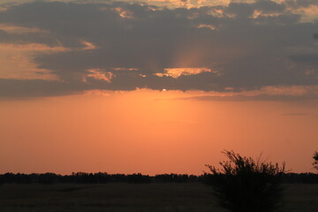 Fototapeta premium sunset in the steppe