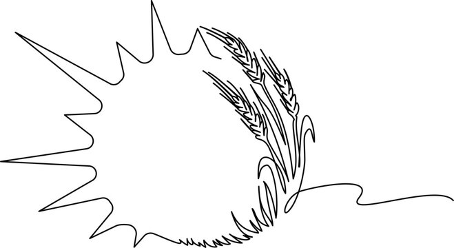 Circular agricultural logo design with sun stalk of wheat integrated into the round. Harvest concept