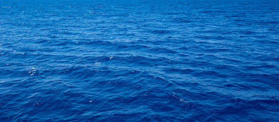 Fototapeta premium tropical sea in Sri Lanka . Summer holiday and vacation concept for tourism.