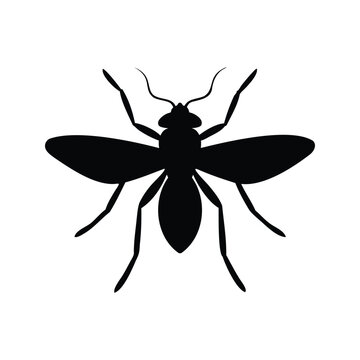 Black and white mosquito silhouette vector illustration for pest control design, gnats silhouette vector illustration
