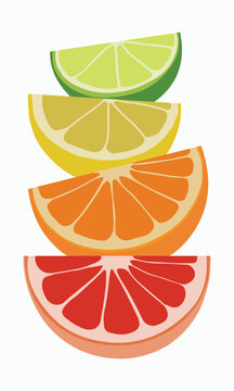 Citrus fruit slices vector illustration set, a collection of lemon, lime, orange, and grapefruit wedges, stacked vertically on a white background, vibrant colors for healthy food and drink designs.