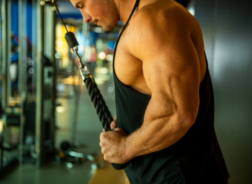 Triceps Rope Pushdown.