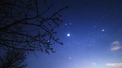 Fototapeta premium Constellations, zodiacal light and Milky Way stars on a dark countryside skies.