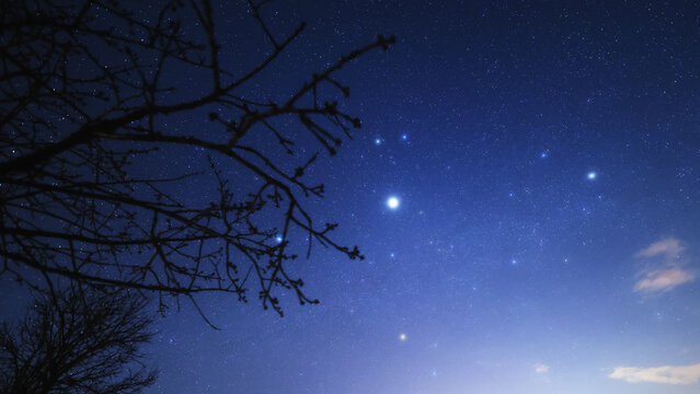 Constellations, zodiacal light and Milky Way stars on a dark countryside skies.