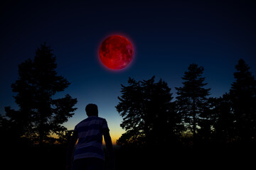 Fototapeta premium Amateur astronomer observing stars, planets, Moon eclipse and other celestial objects.