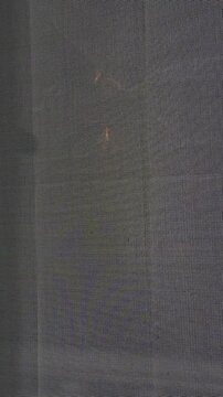 Vertical video. Woman Hitting Mosquito Screen Window to Scare Away Swarm of Flying Termites at Night, Tropical Insect Invasion Near Residential Home
