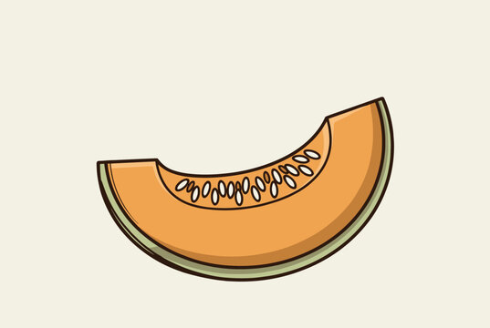 Fresh slice of cantaloupe melon with visible seeds is shown in a clean graphic hand drawn style on beige.