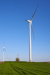 Fototapeta premium Wind turbines at sunset in green field – renewable energy, clean power, sustainable future.