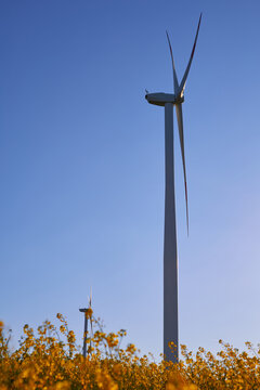 Wind turbines at sunset in green field &ndash; renewable energy, clean power, sustainable future.