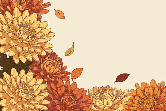 Beautiful orange and yellow chrysanthemum flowers form a decorative corner border on a warm light background.
