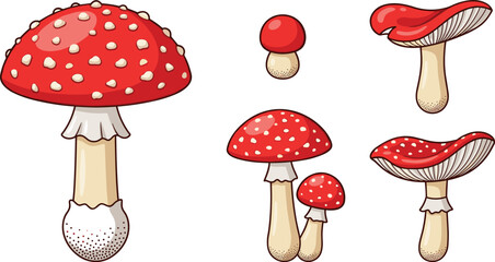 Red Fly Agaric Mushroom Vector Set with Amanita Muscaria Elements for Autumn Forest Nature, Fairytale Fantasy, and Botanical Graphic Designs © Siddika