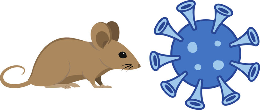 Hantavirus transmission concept with field mouse and virus cell, a flat vector illustration isolated on a white background.