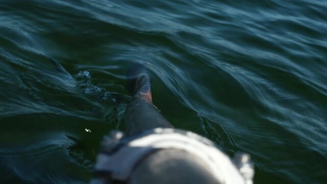 Boat Glides Over Tranquil Water With An Oar In The Oarlock, Captured From A Point-Of-View Shot