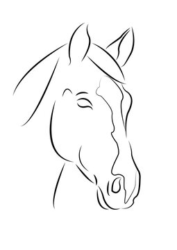 Cavallo