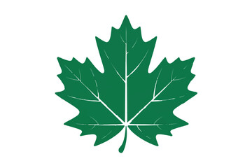 Fototapeta premium Green maple leaf in silhouette style isolated on white background for nature designs and Canadian symbols