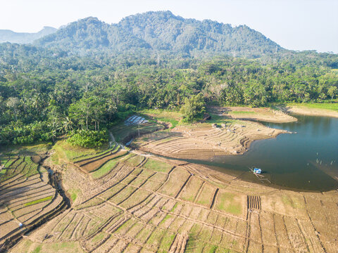 Aerial view of terraced rice fields near the Wadaslintang Reservoir, surrounded by lush tropical forests and distant mountains in Wadaslintang, Central Java, Indonesia.
