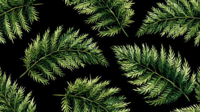 Watercolor fern leaf pattern with lush tropical foliage on black background. Hand painted botanical texture for fabric, wallpaper, wrapping paper and nature inspired design.