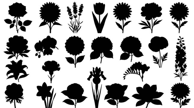 Black silhouette icons of animals and objects set isolated on transparent background, Vector