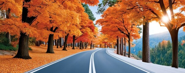 Obraz premium Winding two-lane road through vibrant autumn trees with golden leaves and distant forest views