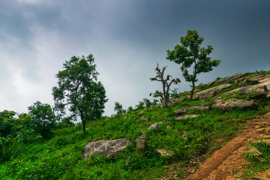 Mayur Pahar, "Peacock Hill", a stunning, rocky hilltop viewpoint located in the Ayodhya Hills range of Purulia district, West Bengal, India. Famous for its dense surrounding forests and wild peacocks.