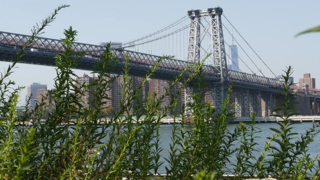 Williamsburg Bridge in Brooklyn, New York City, United States. Transport metallic bridge near Marcy Av subway station and Domino park in Williamsburg. Summer greenery on East River promenade.