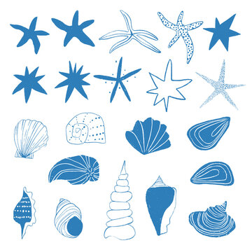 Set of seastars and seashells illustrations