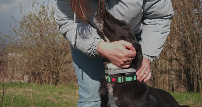 Kind young woman gently petting and caressing her cute adopted black mongrel dog in a park. This heartwarming scene shows the strong bond and between a pet and its devoted owner