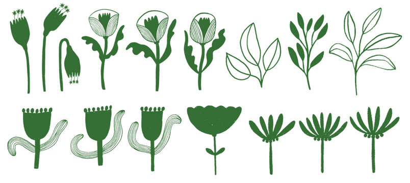 Floral shapes and line art collection