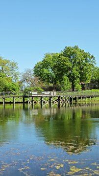 A wooden bridge stretches across calm water in a park. Green trees line the shore, reflecting in the water. The sky is clear and bright. It is a sunny day in spring.
