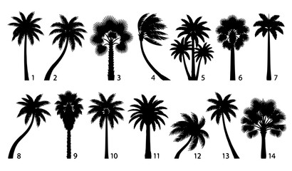 Fototapeta premium Black Palm Tree Silhouette Set for Tropical Landscape Design Projects