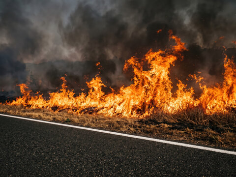Brush fire burning alongside asphalt road with thick smoke, combustible vegetation