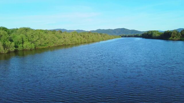 Aerial View of river, Beautiful Aerial View of African Jungles forest and River, Landscape in aerial drone shot. Adove calm tranquil river in Jijel Algeria North Africa, River and green forest trees.
