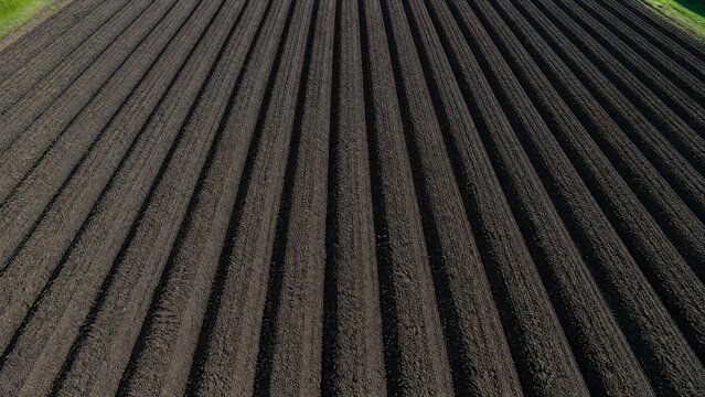 Aerial view of straight, dark furrows of earth in a plowed field.