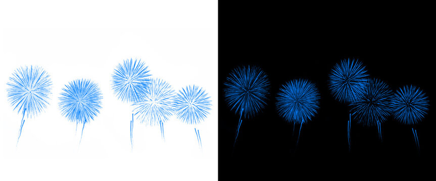 Blue fireworks display on white and black backgrounds, festive pyrotechnic explosions, glowing blue firework bursts for celebration and holiday events