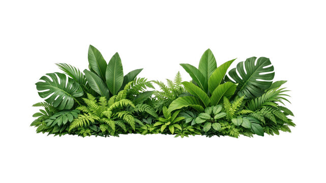 PNG Lush tropical green foliage arrangement.