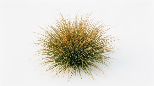 Closeup of a single ornamental grass clump with golden and green hues.