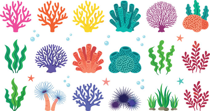 Colorful coral reef vector element set featuring various underwater sea plants seaweed sea urchins and ocean life decorations on white background
