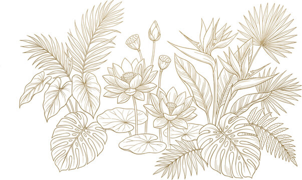 Elegant gold line art tropical bouquet with monstera palm leaves lotus flowers and bird of paradise isolated on white background vector illustration