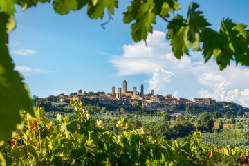 Naklejka premium San Gimignano Skyline and Towers Framed by Vine Leaves