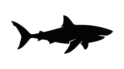 Fototapeta premium Black Silhouette of a Great White Shark on a White Background