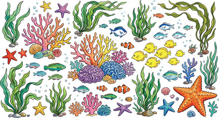 Underwater ocean life set with colorful coral reefs seaweeds tropical fish and starfish elements collection isolated on plain white background vector © MstBizly