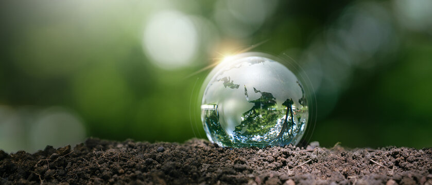 Environmental conservation, sustainable development future, Earth Day, and ecology concept. Crystal globe on soil with forest background for climate action, renewable resources, responsibility.