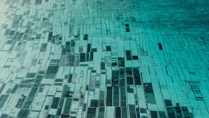 Drone view of algae seaweed farm in ocean water at Lembongan island in Indonesia © artifirsov