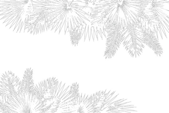 Sketchy pine branches frame empty space against gray checkered background, holiday decoration element, winter nature design.