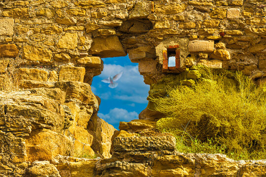 ACCIDENTAL WINDOW